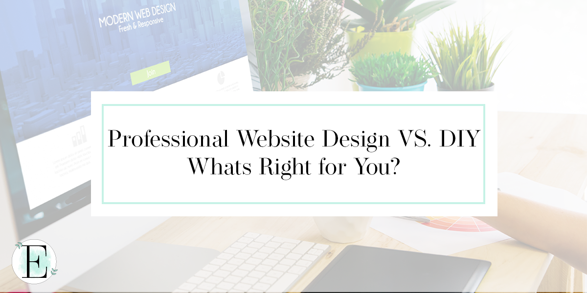Professional Website Design vs. DIY Evans Desk and Design